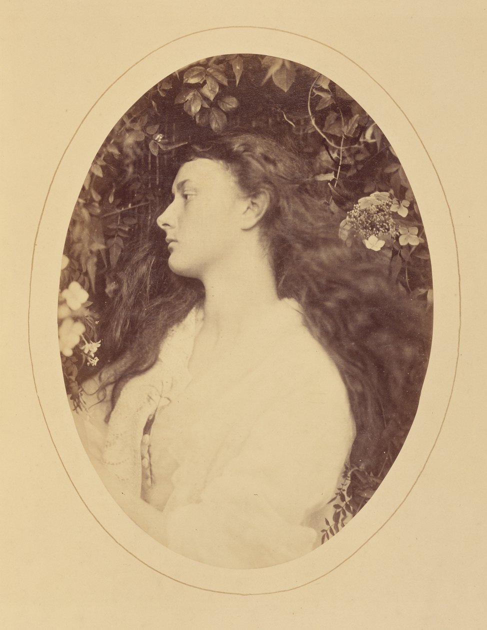 [Alethea] by Julia Margaret Cameron