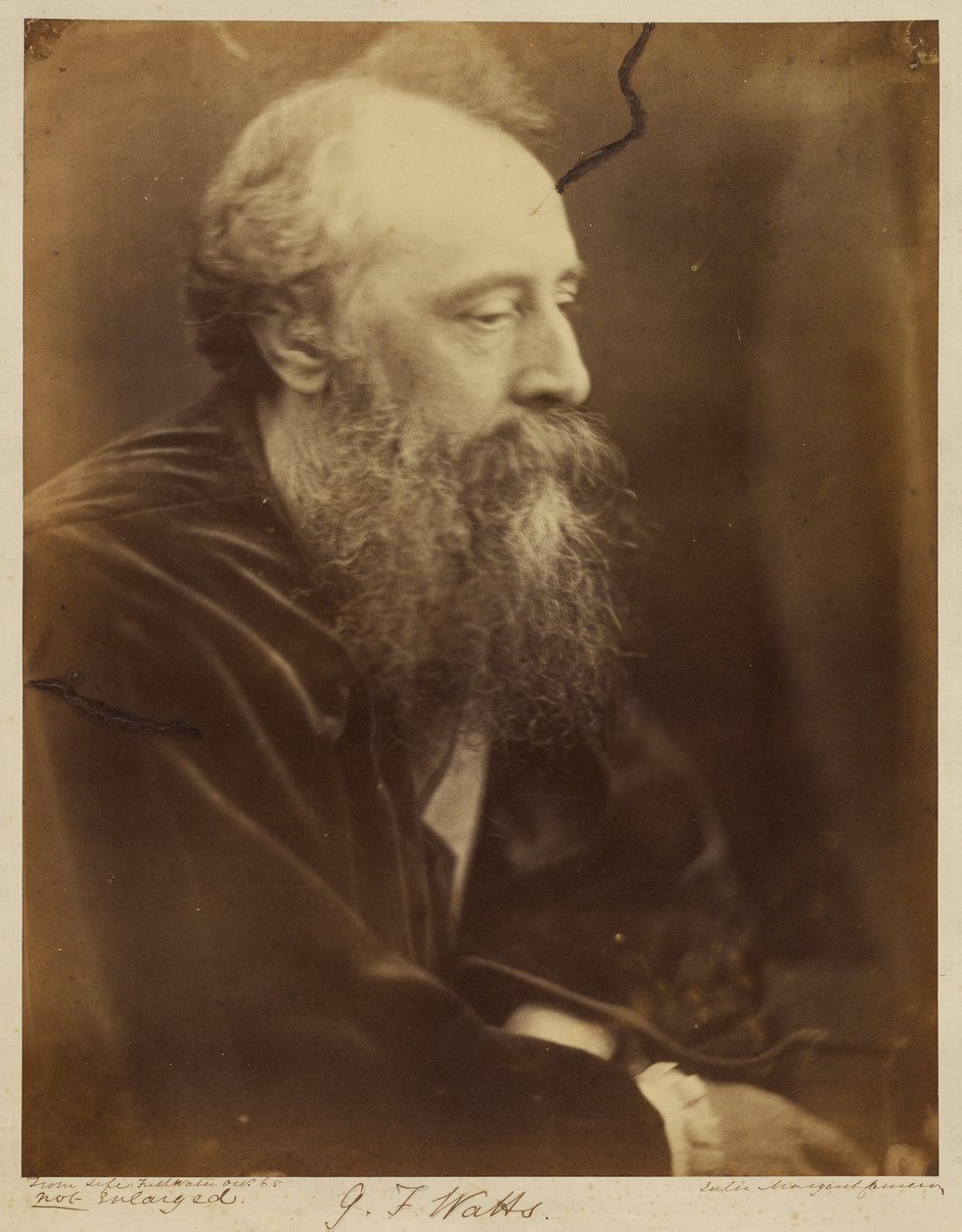 G.F. Watts by Julia Margaret Cameron