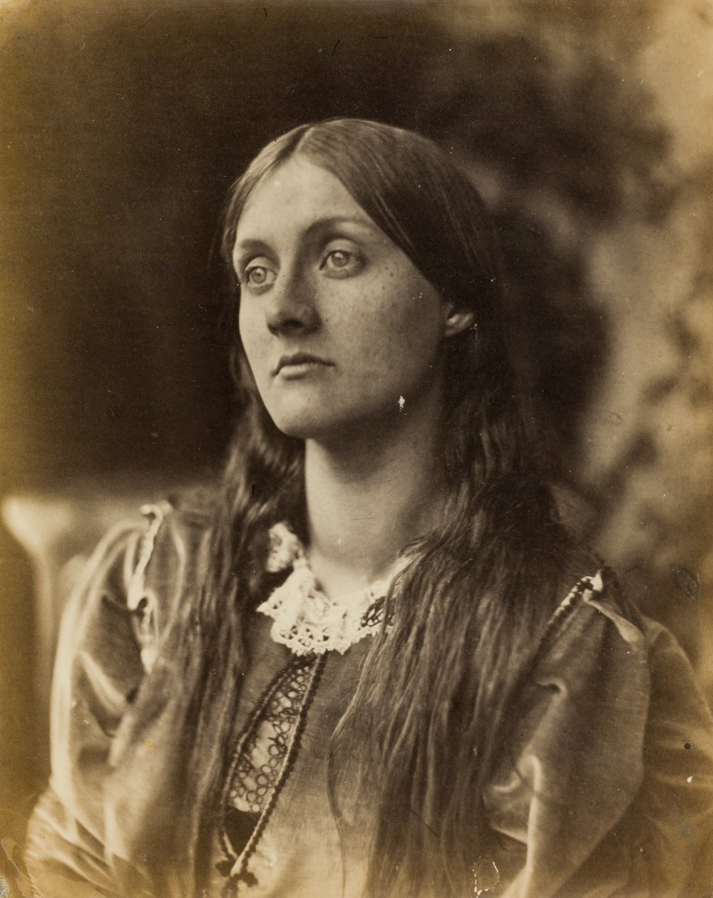 アート・デザイン・音楽 Julia Margaret Cameron プランと料金 Album: Victorian A Julia Circle Her and Cameron