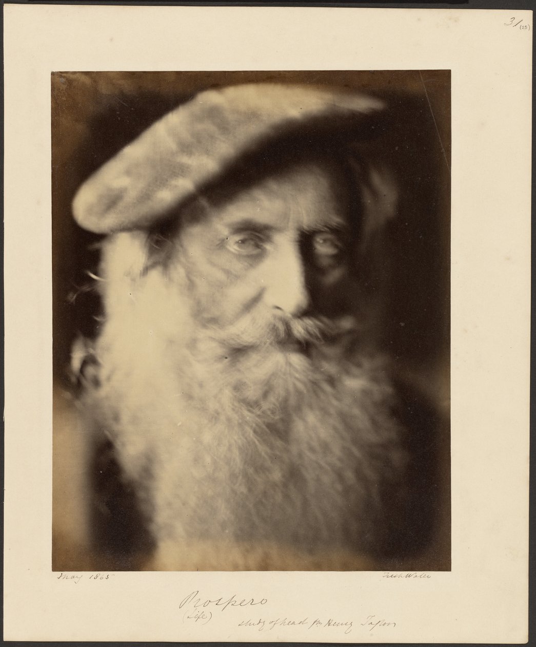 Prospero by Julia Margaret Cameron