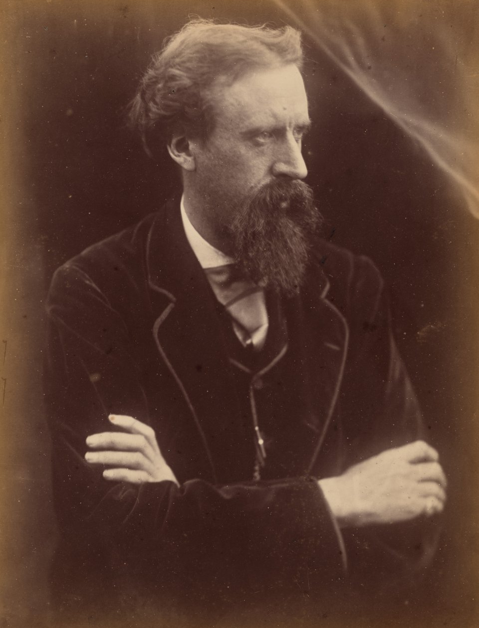 Sir Leslie Stephen by Julia Margaret Cameron