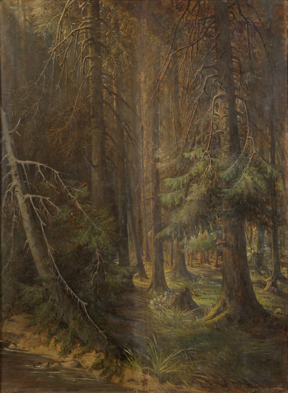 Forest by Julie Wilhelmine Hagen Schwarz