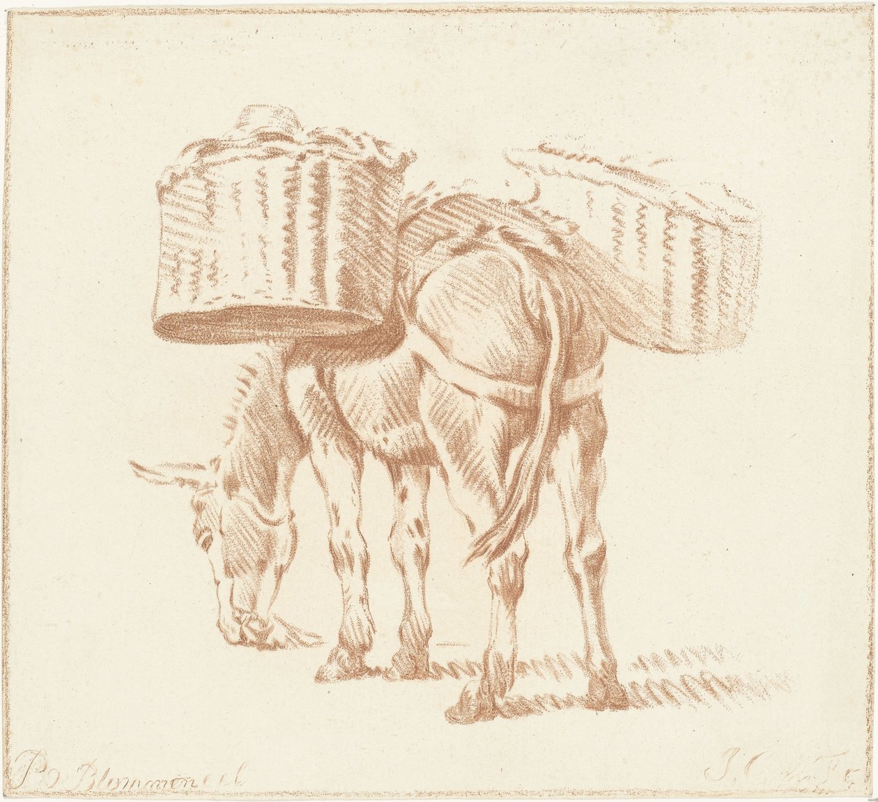 Loaded Donkey by Jurriaan Cootwijck