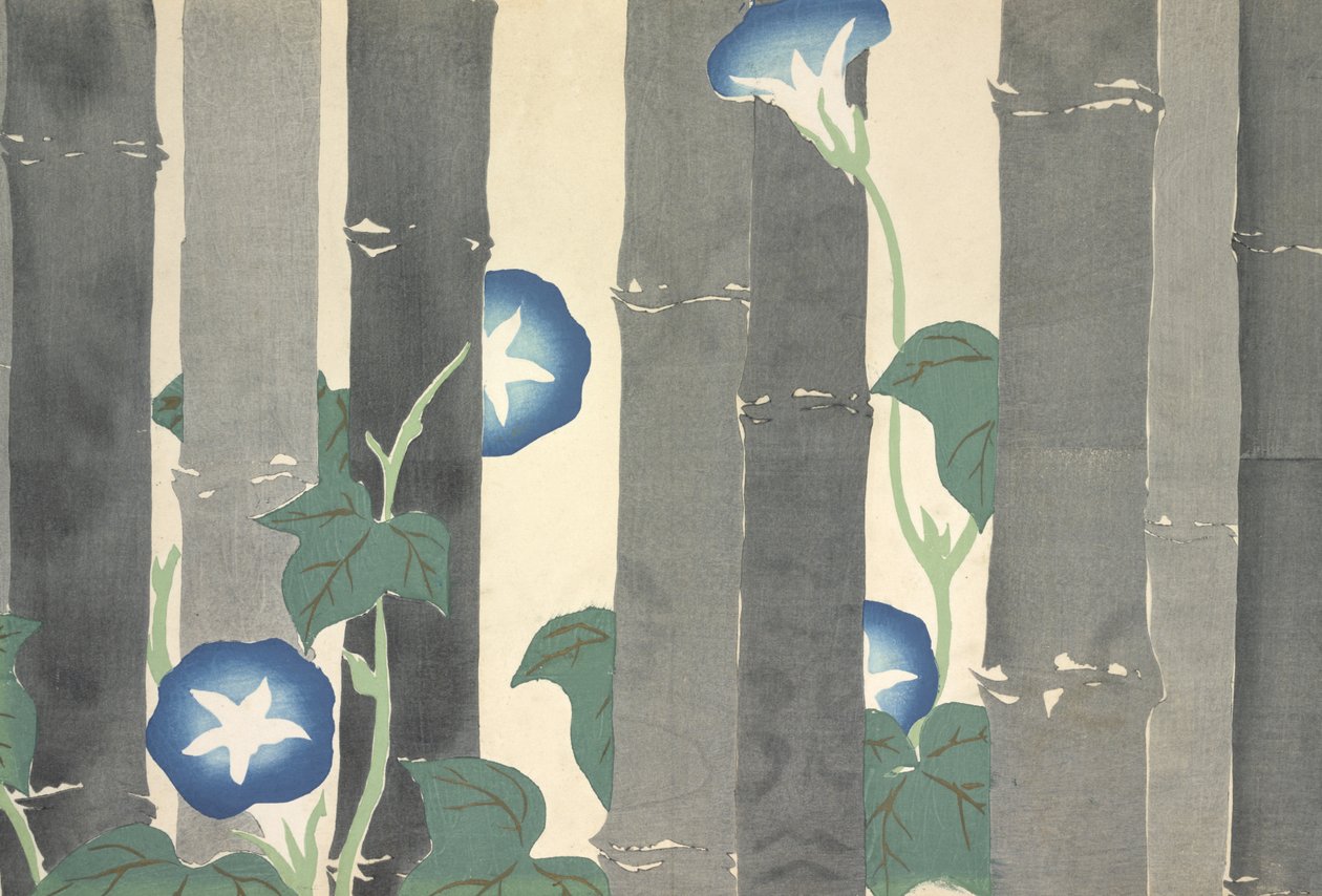Asagao, from Momoyo-Gusa by Kamisaka Sekka