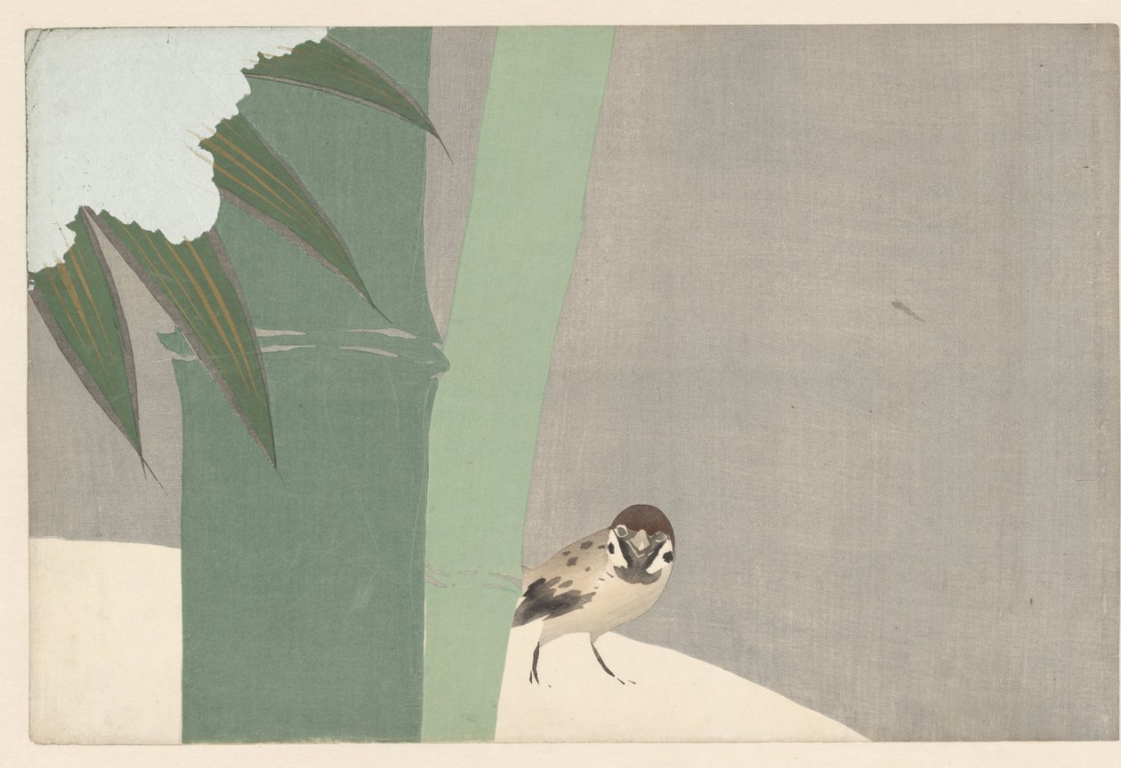Bamboo in Snow (title on object: Settchu Take) (series title: Flowers of a Hundred Worlds) (series title: Momoyogusa, Vol. 1) by Kamisaka Sekka