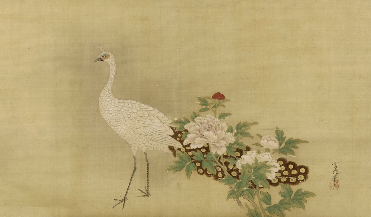 White peacock and peonies by Kano Tsunenobu