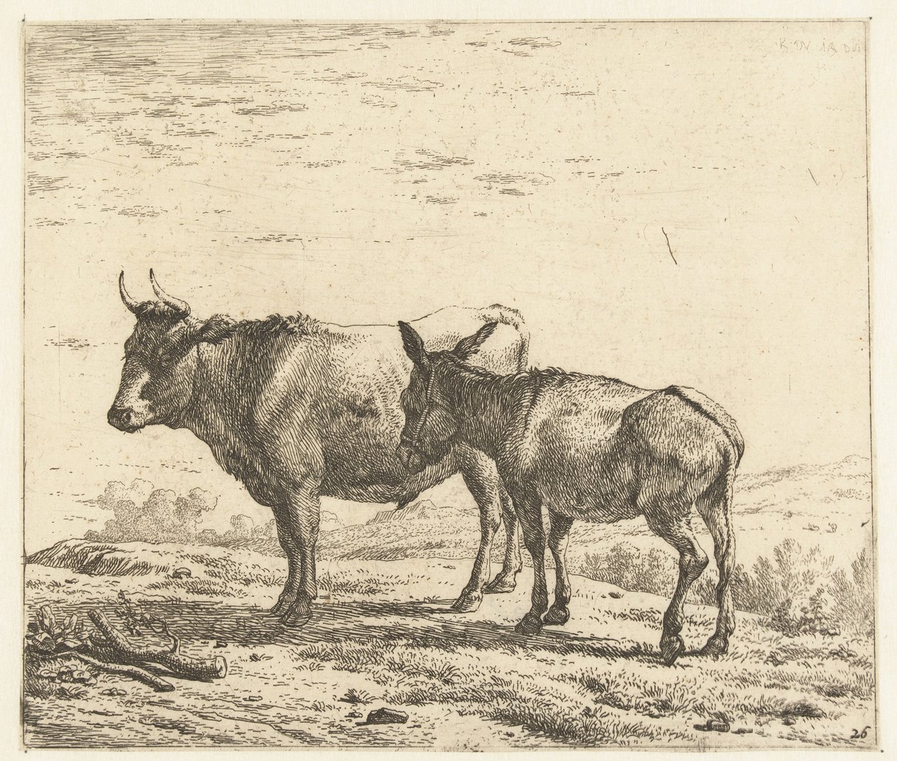 Ox and a Donkey by Karel Du Jardin