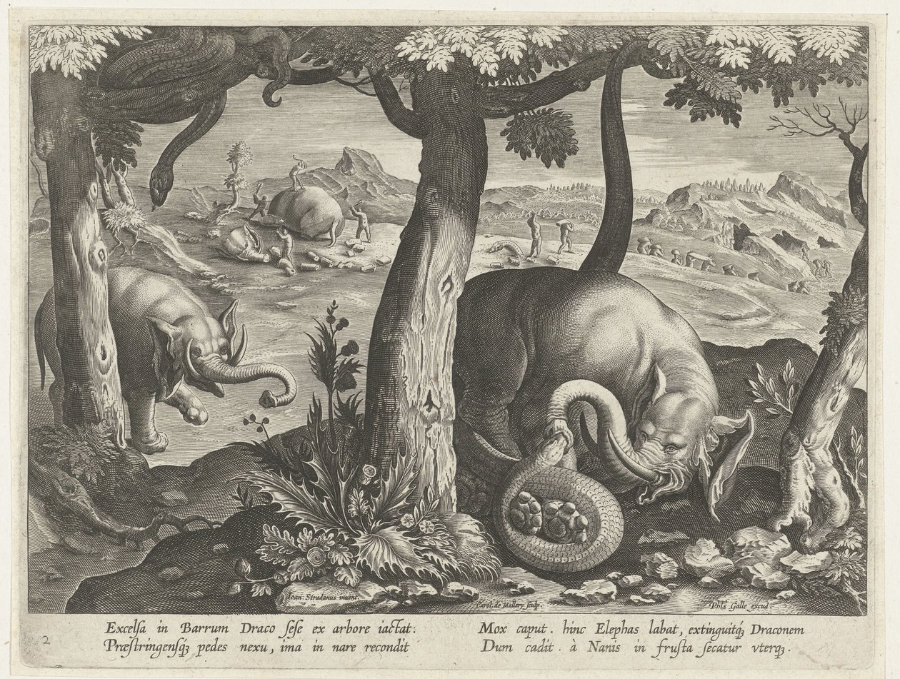 Elephant Fighting with Snake by Karel van Mallery (attributed to)