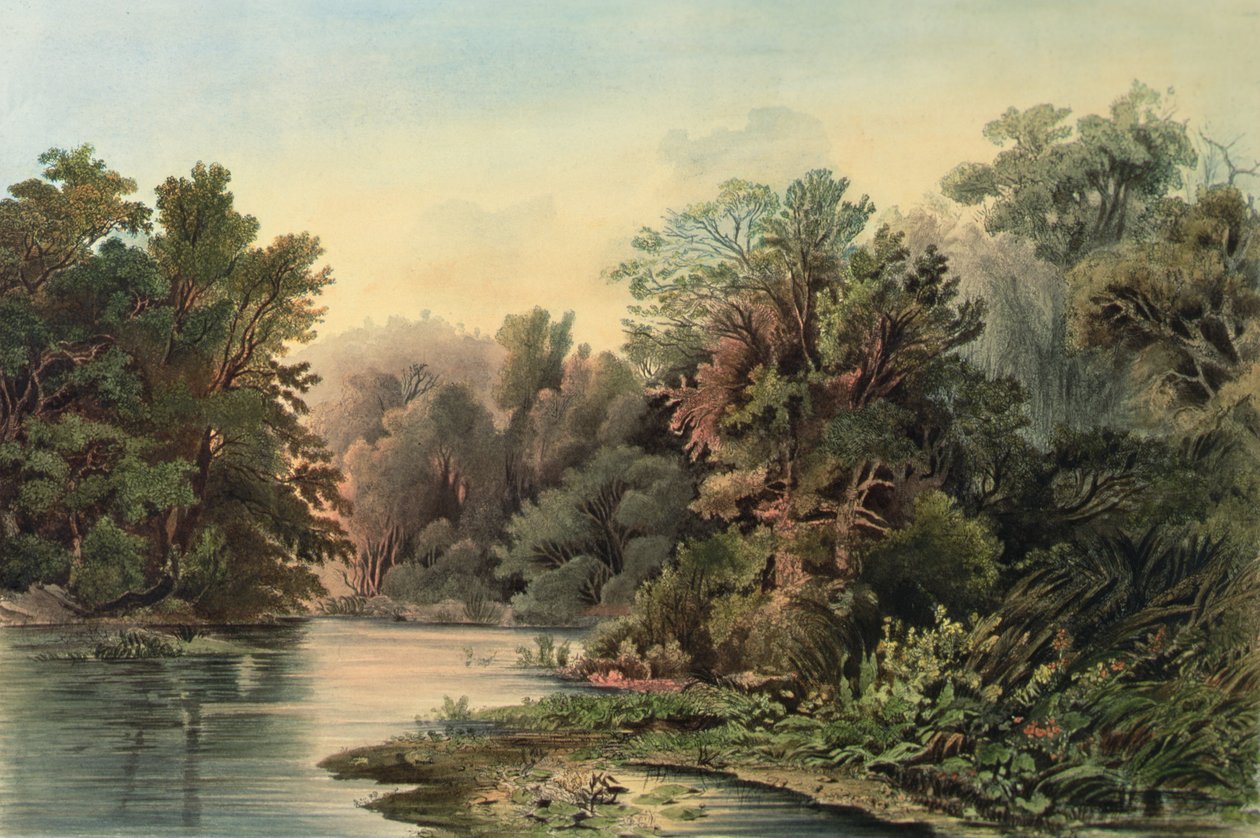 Forest Scene on the Lehigh, Pennsylvania, plate 1 from volume 2 of `Travels in the Interior of North America