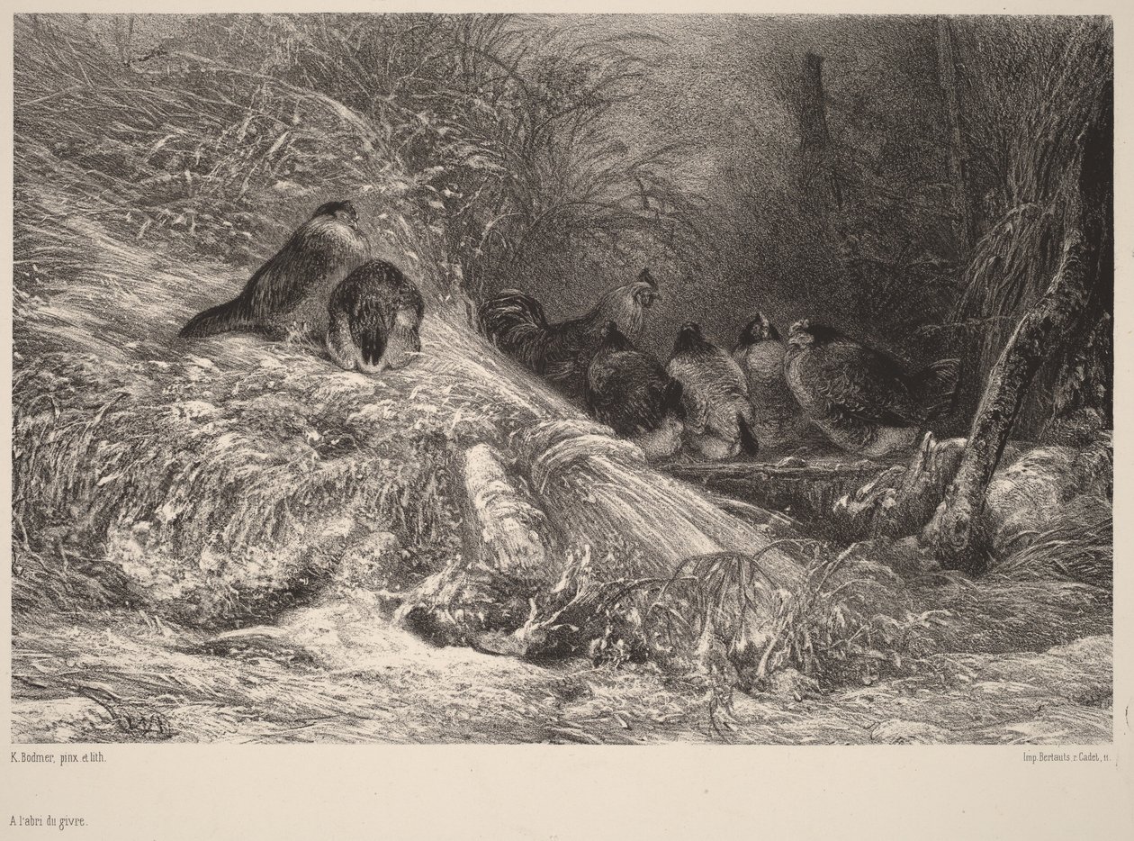 Sheltered from the Frost by Karl Bodmer