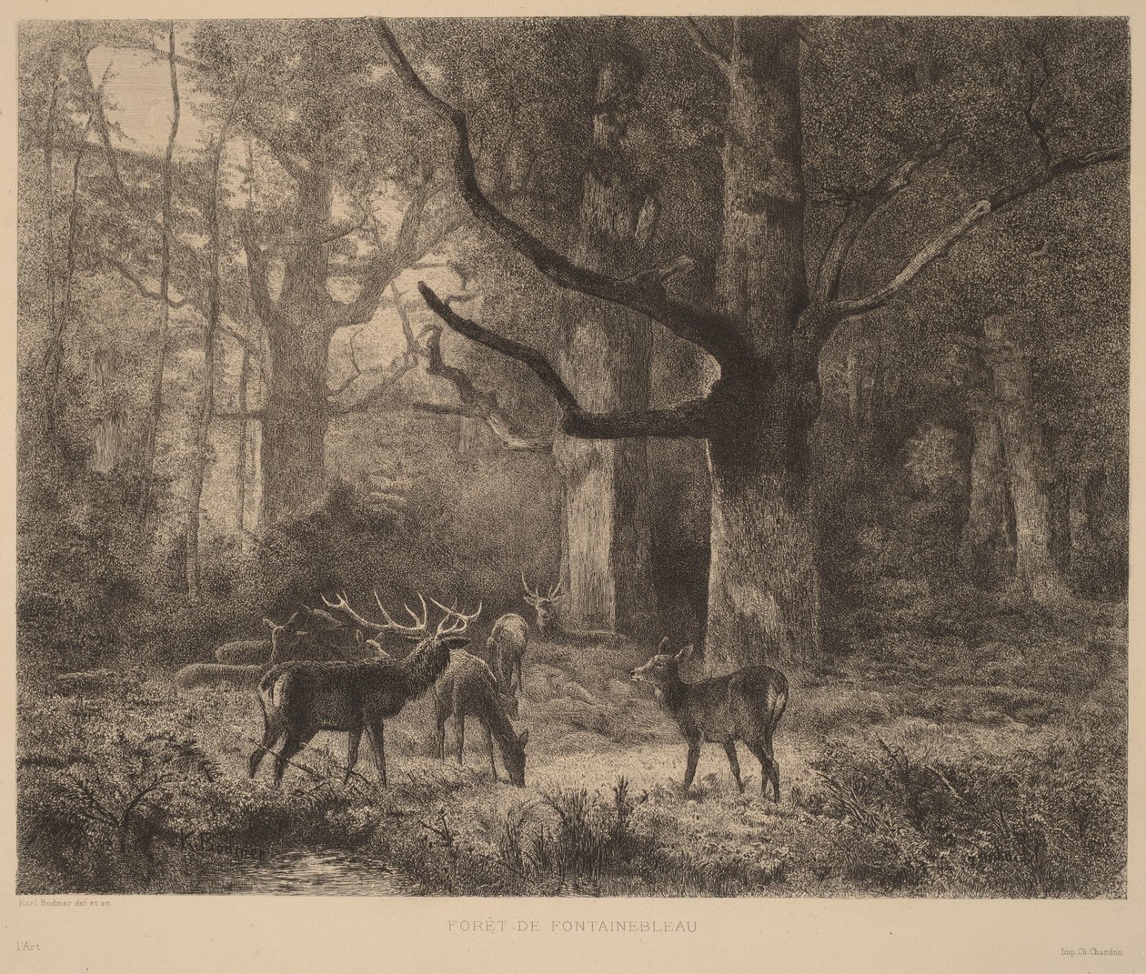 Forest of Fontainebleau by Karl Bodmer