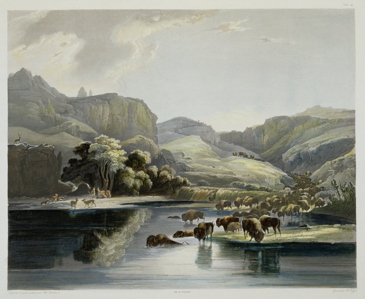 Herds of Bison and Elk on the Upper Missouri, plate 47 from Volume 2 of 
