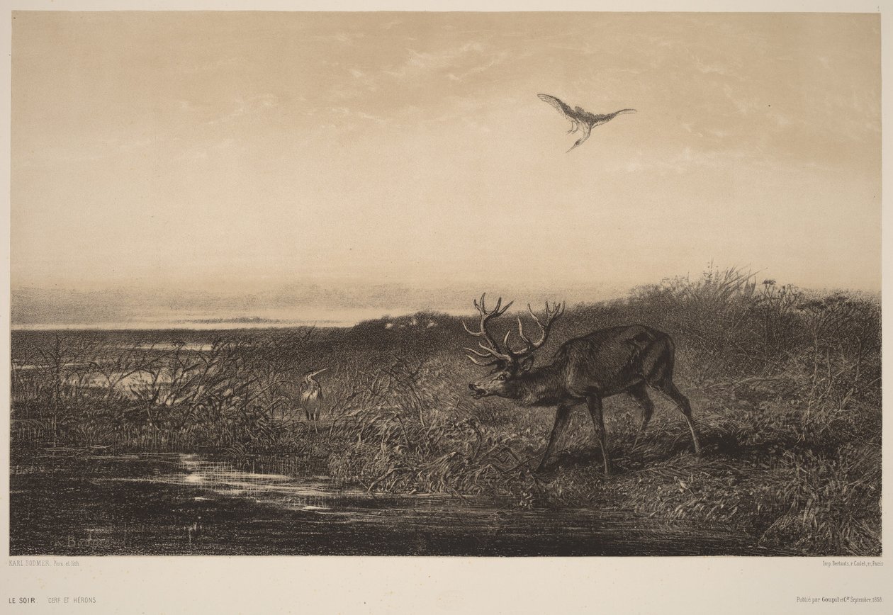 The Evening. Deer and Herons by Karl Bodmer
