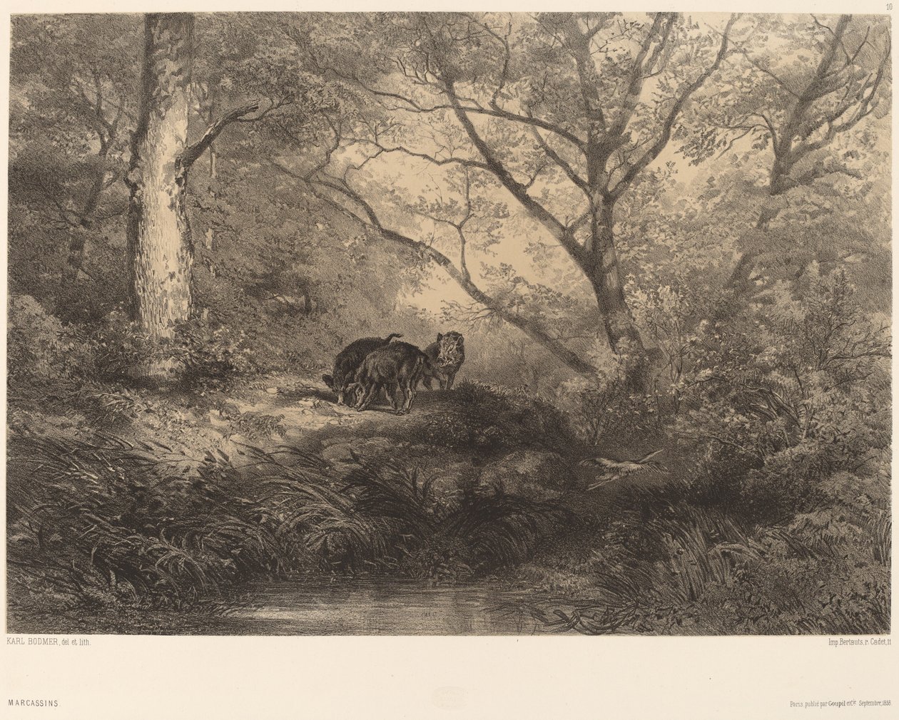 Young Wild Boars by Karl Bodmer
