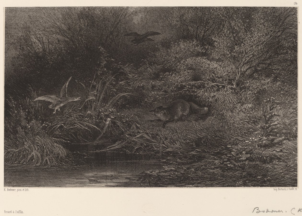 Fox on the Lookout by Karl Bodmer