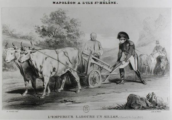 Napoleon (1769-1821) on St. Helena, Engraved by Francois le Villain by Karl after Loeillot Hartwig