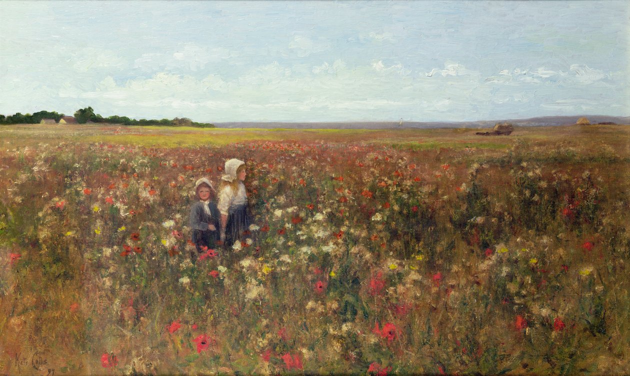 The Poppyfield, 1897 by Kate Colls: Premium art reproduction