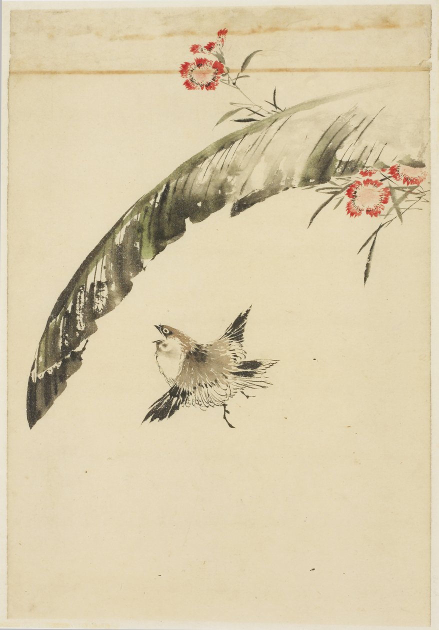 Sparrow and Banana Leaf and Pinks by Katsushika (school of) Hokusai