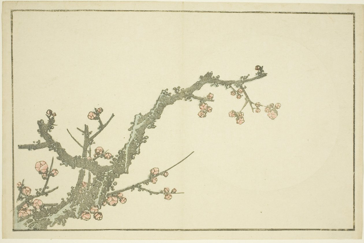 Blooming Plum Tree, from The Picture Book of Realistic Paintings of Hokusai by Katsushika Hokusai