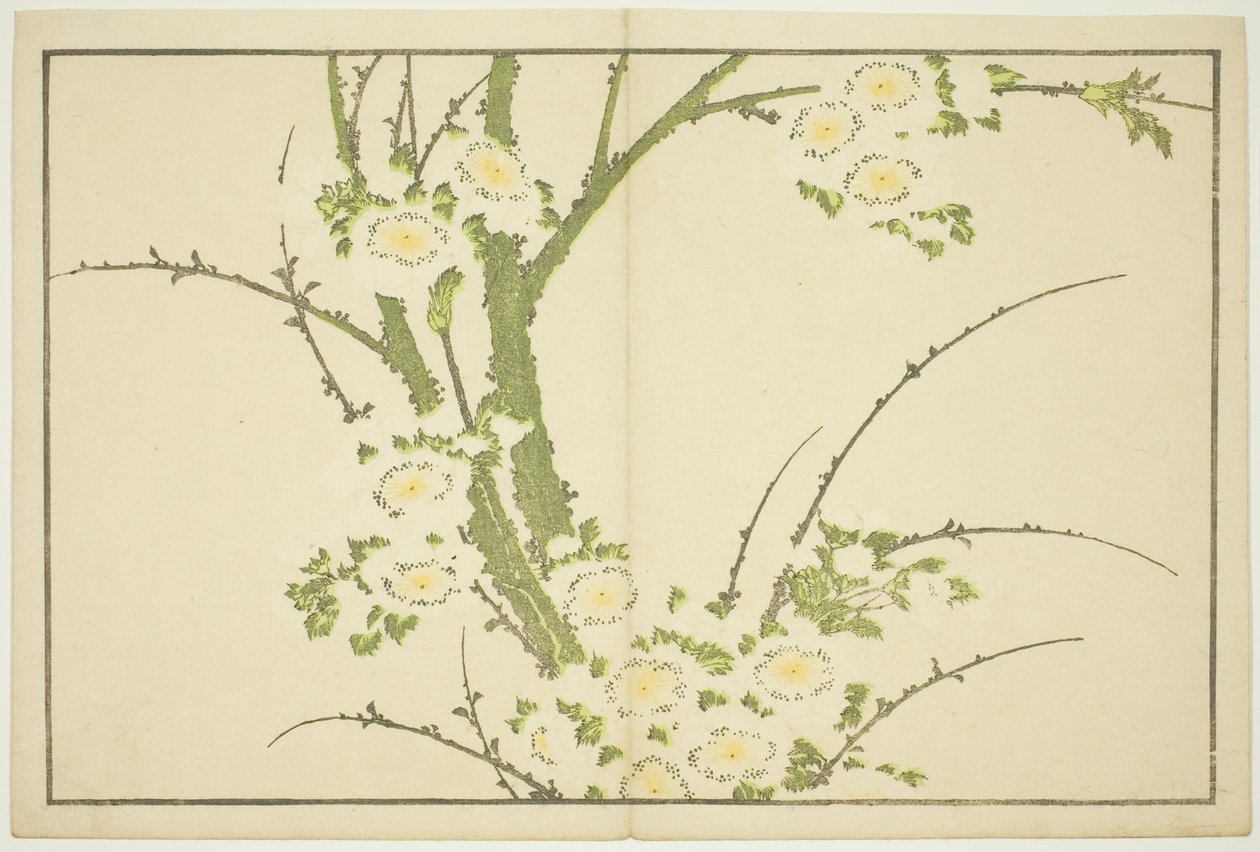 Flowers, from The Picture Book of Realistic Paintings of Hokusai by Katsushika Hokusai