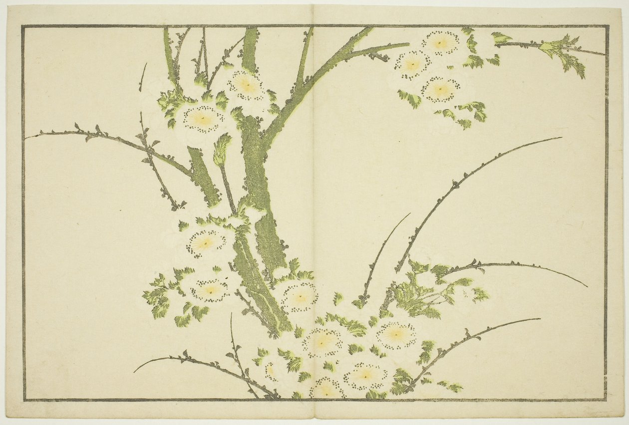 Flowers, from The Picture Book of Realistic Paintings of Hokusai by Katsushika Hokusai