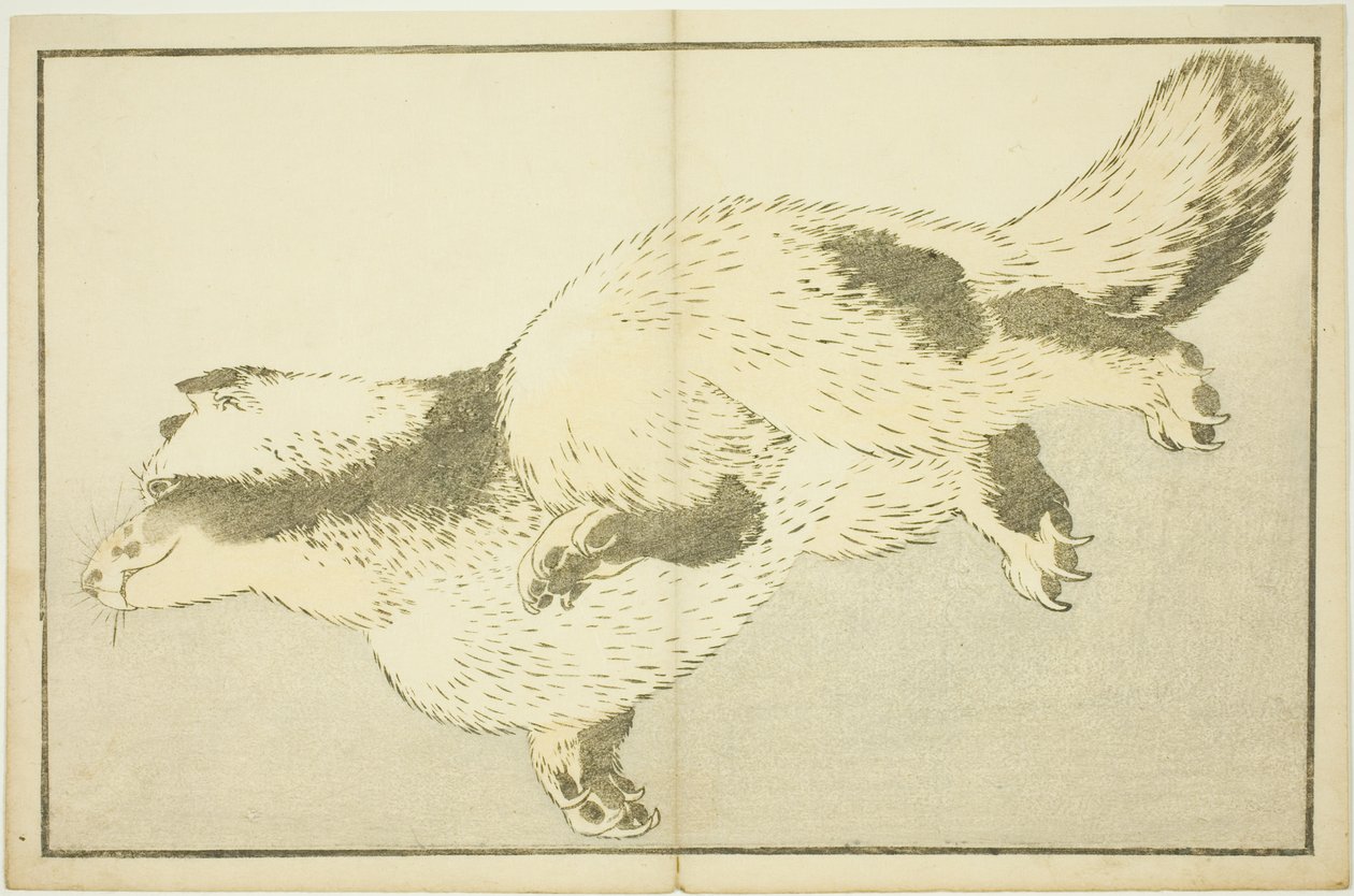 Fox, from The Picture Book of Realistic Paintings of Hokusai by Katsushika Hokusai