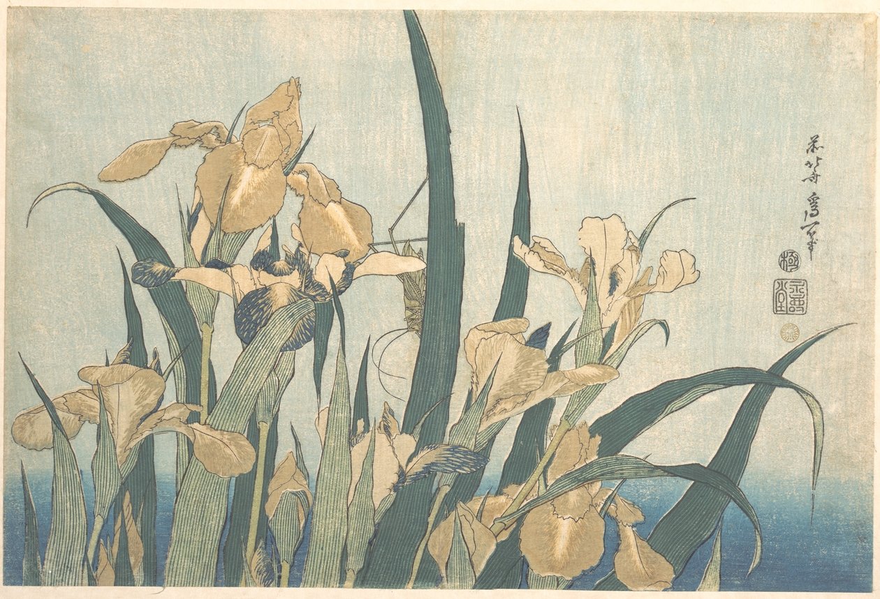 Grasshopper and Iris by Katsushika Hokusai