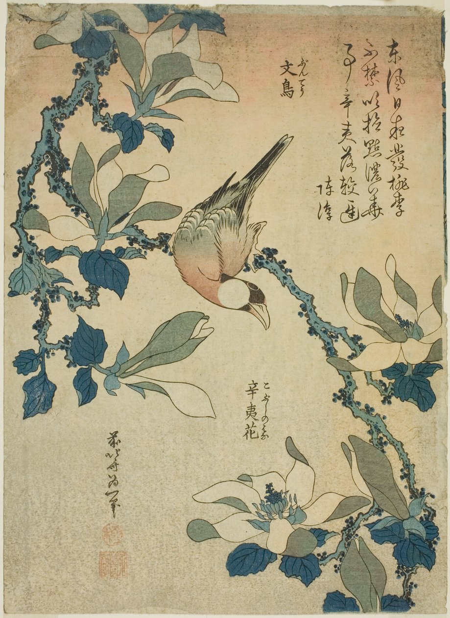 Paddy Bird and Magnolia Flowers, from an untitled series of flowers and birds by Katsushika Hokusai