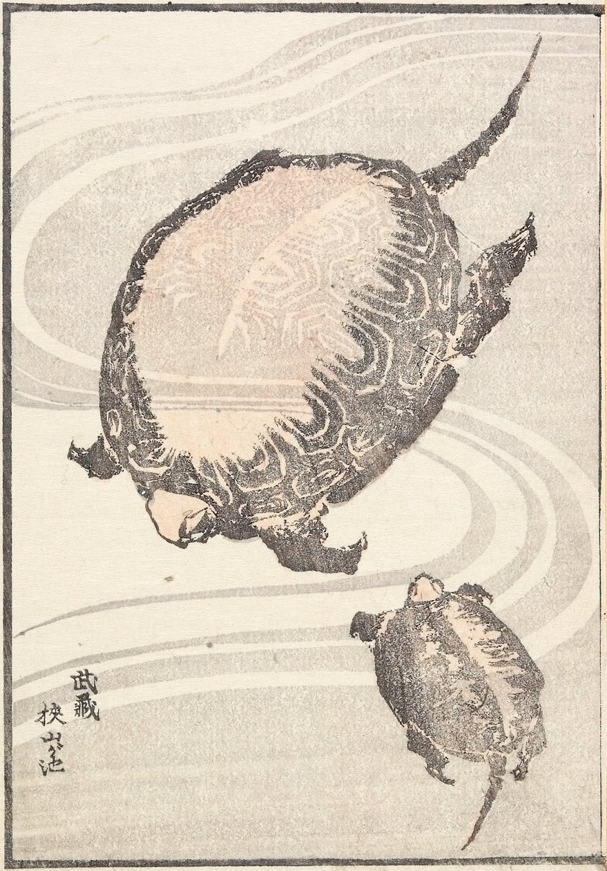 Sayama-ga-ike Pond in Musashi Province by Katsushika Hokusai