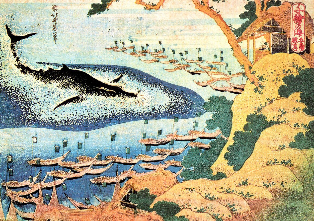 A Thousand Views of the Ocean: The Whale off the Goto Islands, Japan by Katsushika Hokusai