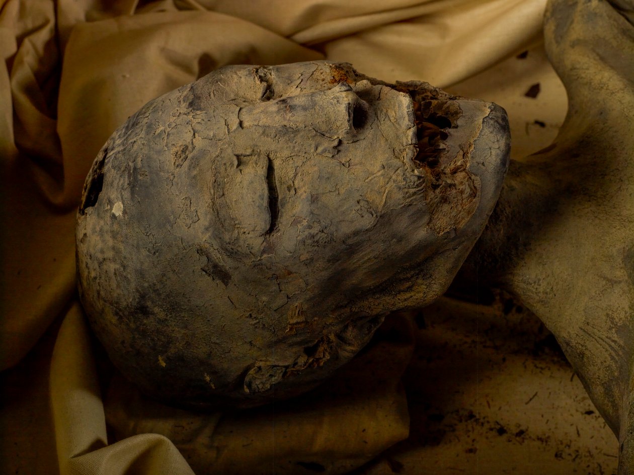 Mummy of King Tut