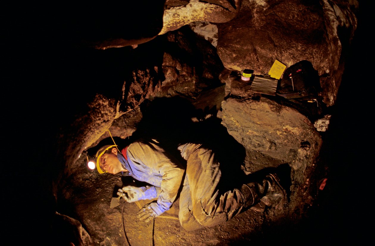 Who Were the First Americans, Timothy Heaton, Excavating, On Your Knees ...