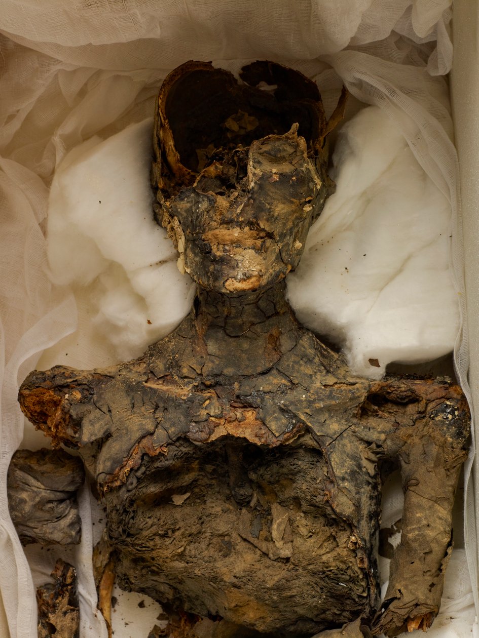 18th Dynasty; New Kingdom; Egypt; The Egyptian Museum; Cairo; Mummy; Valley of the Kings, 2009 by Kenneth Garrett