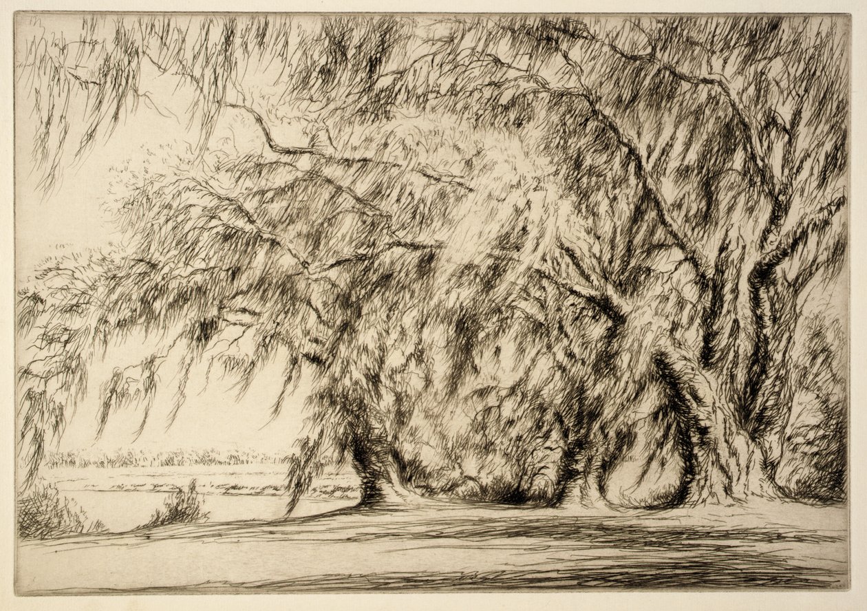 Oaks and Moss by Kerr Eby