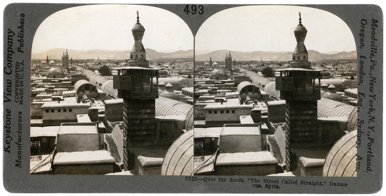 Damascus, Syria by Keystone View Company