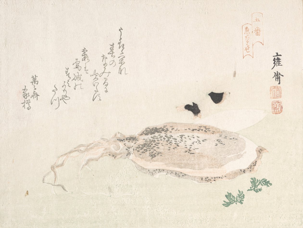 Cuttle Fish, Early 19th Century by Kikuchi Yosai
