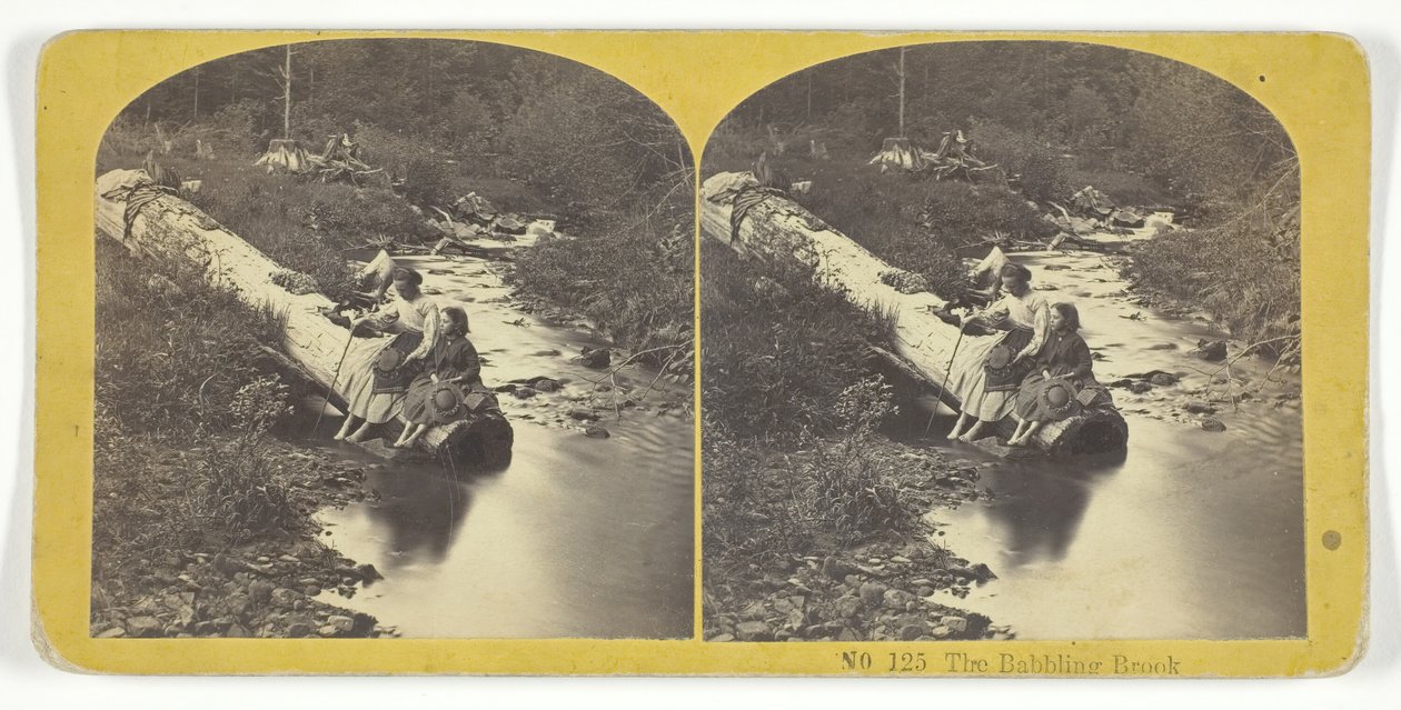 The Babbling Brook, 185575 by Kilburn Brothers, BW Kilburn