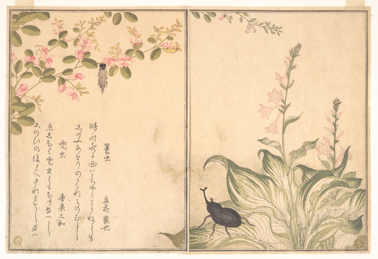 Bagworm (Minomushi); Horned Scarab Beetle (Kabutomushi), from the Picture Book of Crawling Creatures by Kitagawa Utamaro