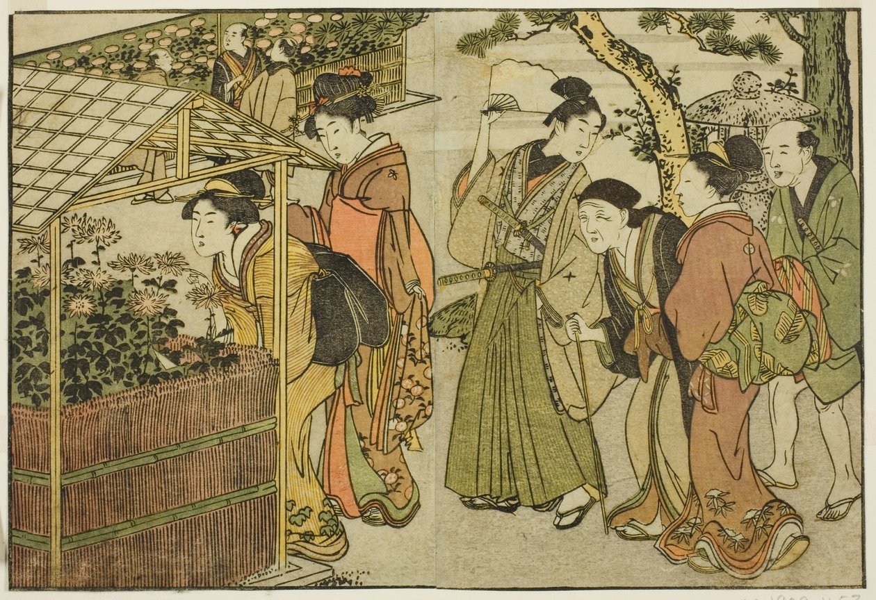 Display of Chrysanthemums, from the illustrated book "Picture Book: Flowers of the Four Seasons," vol. 2 by Kitagawa Utamaro