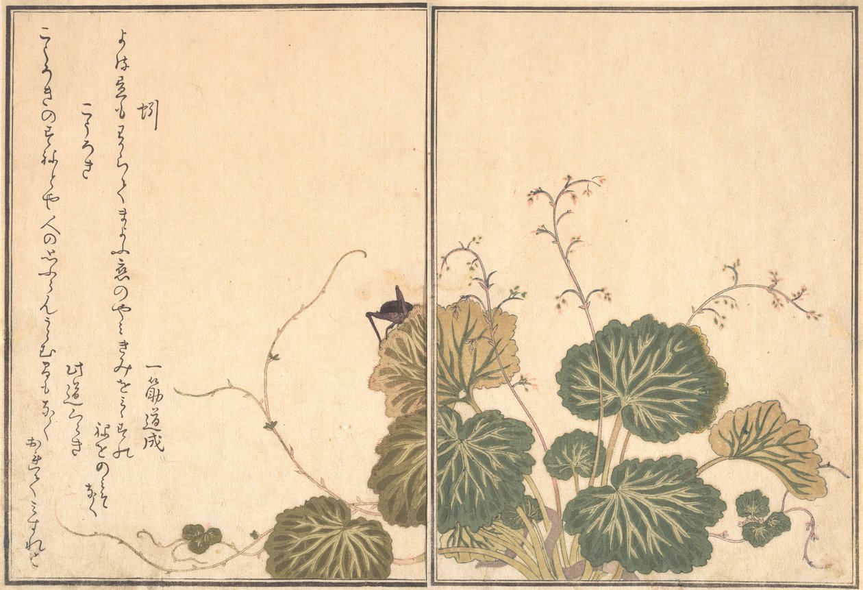 Earthworm Mimizu, Cricket Korogi by Kitagawa Utamaro
