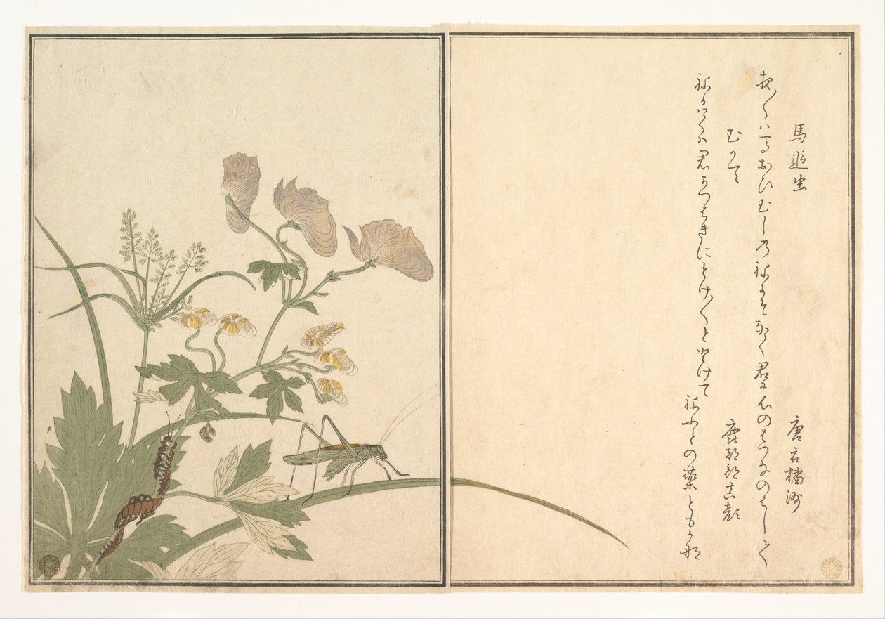 Katydid (Umaoi-mushi); Centipede, (Mukade), from the Picture Book of Crawling Creatures (Ehon mushi erami) by Kitagawa Utamaro