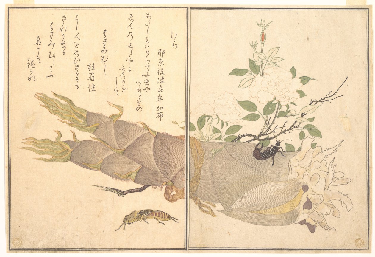 Mole Cricket (Kera); Earwig, (Hasami-mushi), from the Picture Book of Crawling Creatures (Ehon mushi erami) by Kitagawa Utamaro