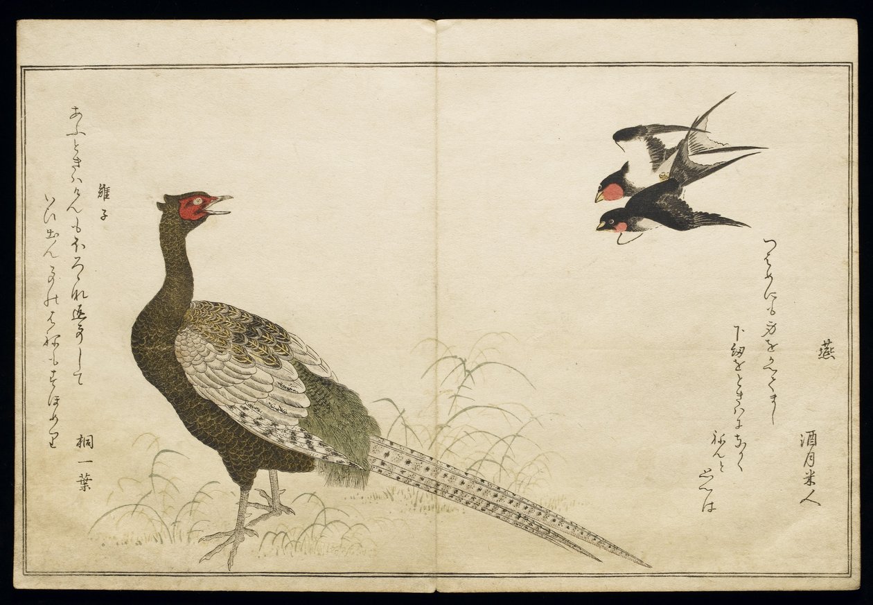 Pair of Chimney Swallows and a Green Pheasant, from an album 