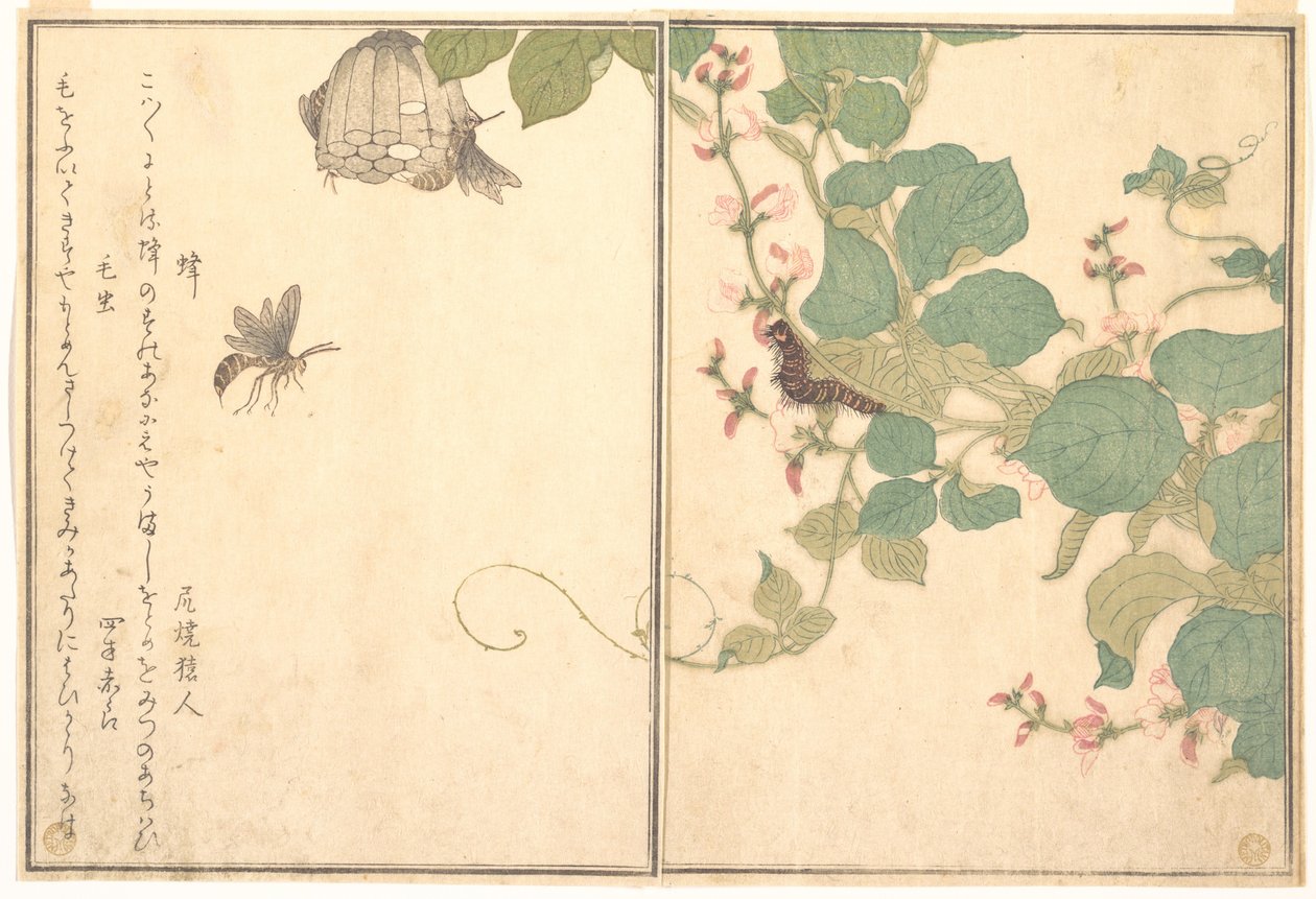 Paper Wasp; Hairy Caterpillar, from the Picture Book of Crawling Creatures by Kitagawa Utamaro