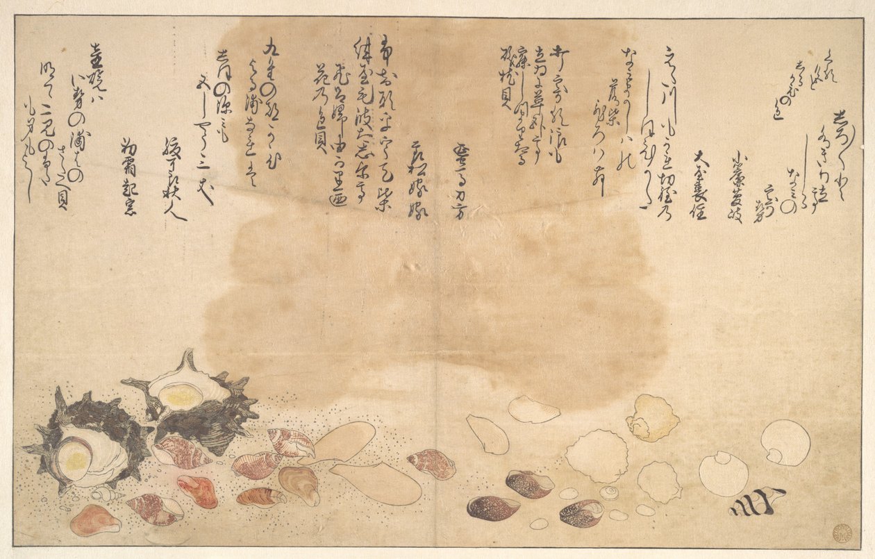 Shells under Water by Kitagawa Utamaro
