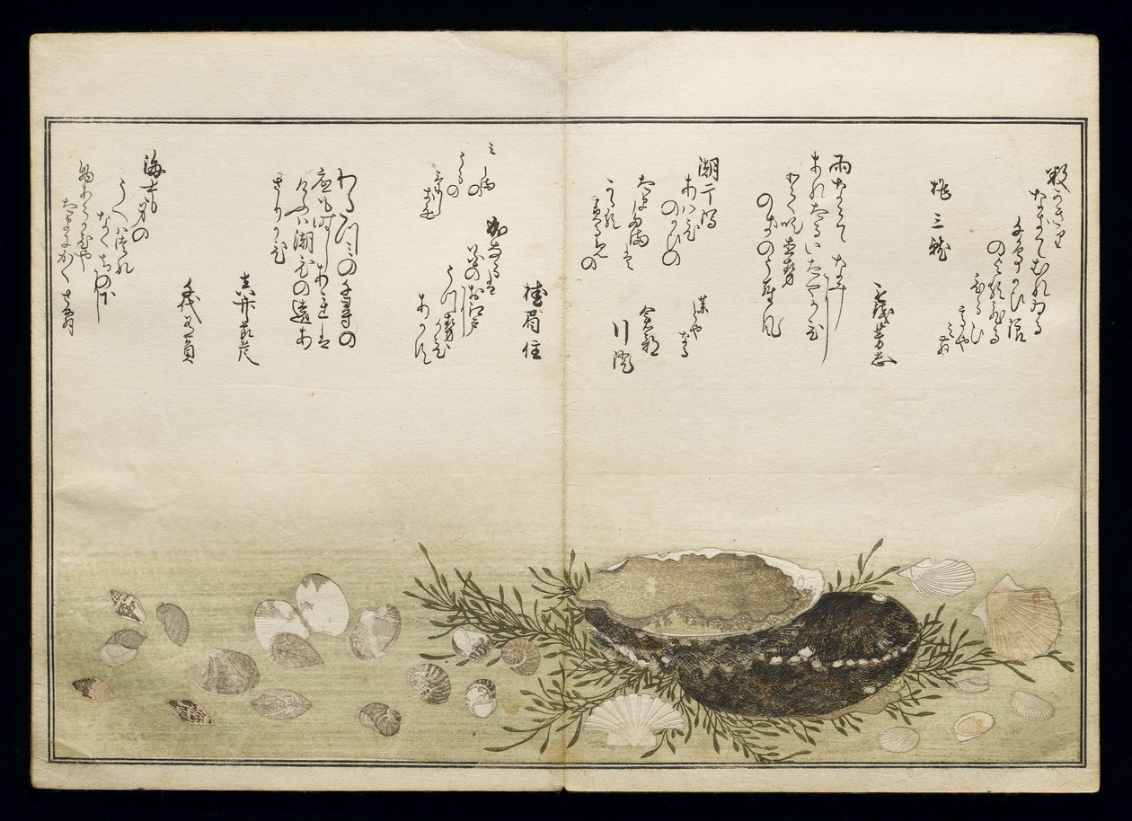 Shiohi no tsuto (Gifts from the Ebb Tide), known as the Shell Book, 1789 by Kitagawa Utamaro