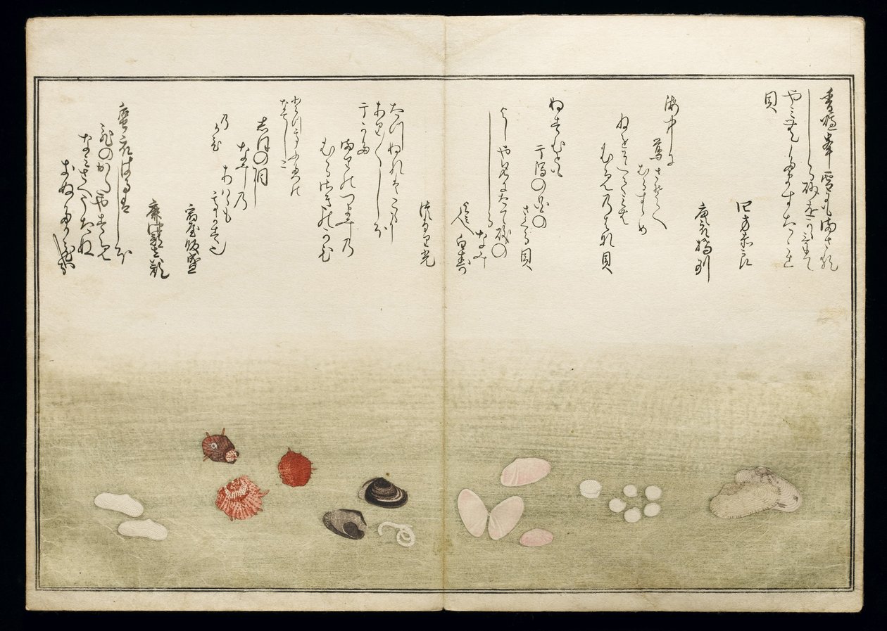 Gifts from the Ebb Tide, known as the Shell Book, 1789 by Kitagawa Utamaro
