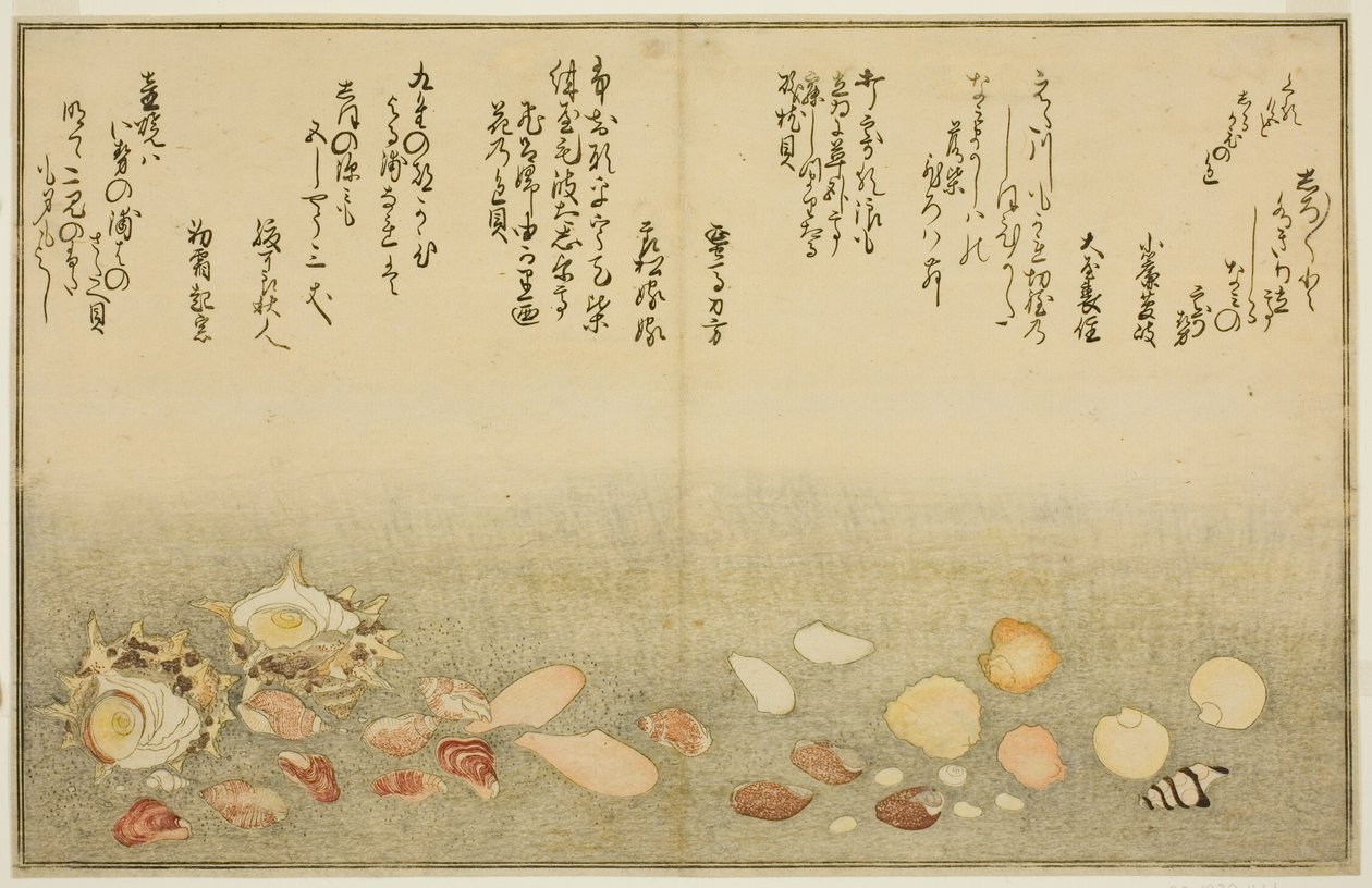 Shiro-gai, Namima-gashiwa, Makura-gai, Iro-gai, Aza-gai, Sadae-gai, from the Illustrated Book 