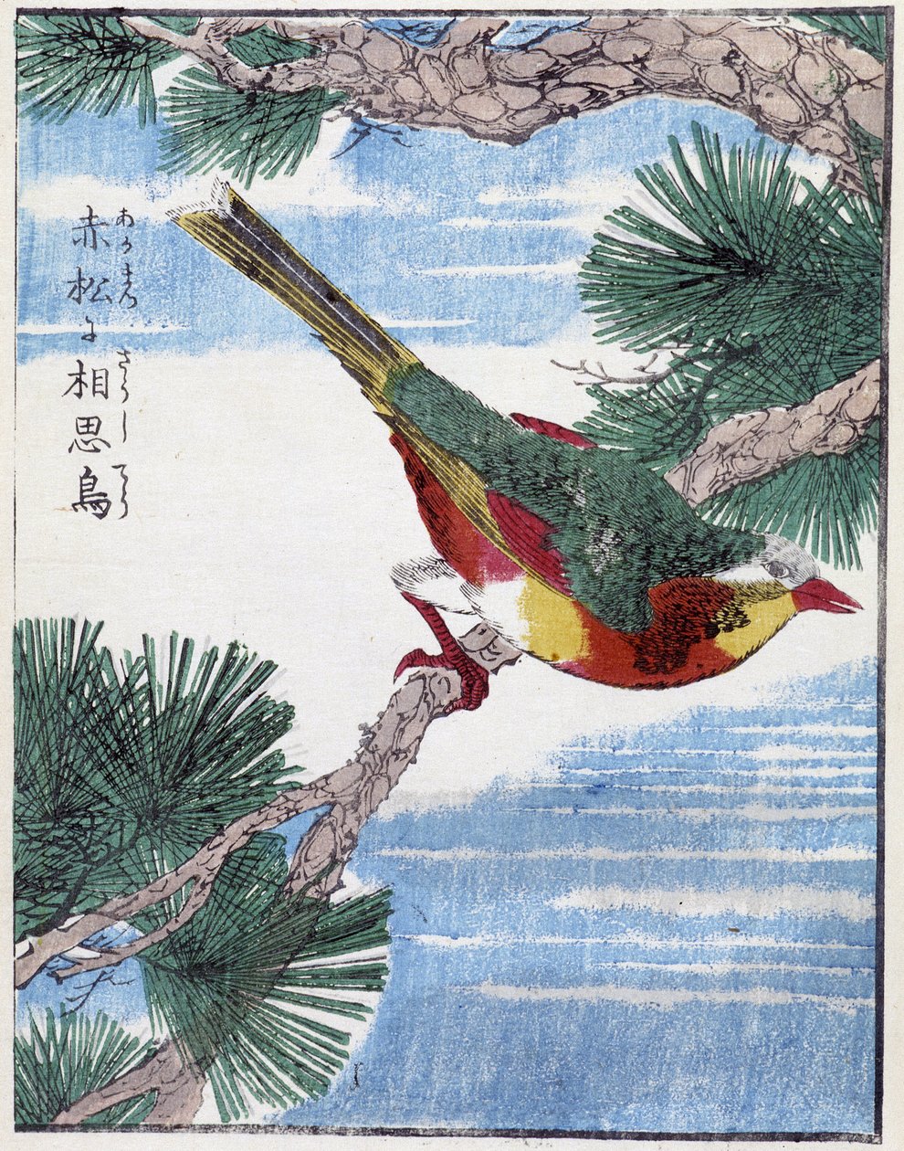 Bird on a Tree. Japanese Drawing by Kitao Kosuisai by Kitao Shigemasa