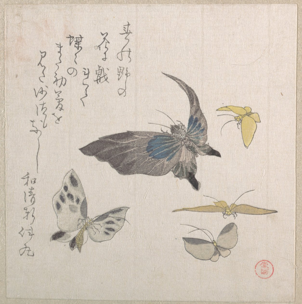 Butterflies by Kubo Shunman